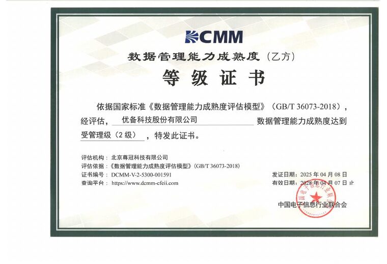 DCMM数据管理能力成熟度（2级）
